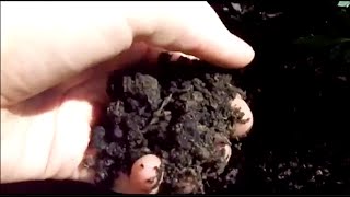 Introduction to Soil Texture [upl. by Atnom792]