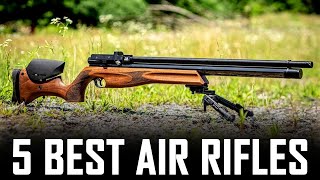 5 Best Air Rifle For Air Arms Lovers  Best Air Arms PCP Rifles [upl. by Dorrahs231]