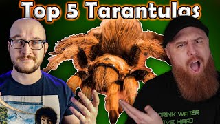 Top 5 BEST Tarantulas  Featuring The Tarantula Collective [upl. by Eanej95]