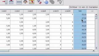 SPSS Berechnen von neuen Variablen [upl. by Enuj402]