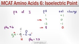 Isoelectric Point of Amino Acids with MCAT Shortcut [upl. by Oxley]