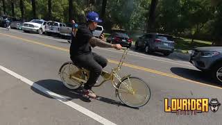 Bikes on the Blvd  Lowrider Cruise Custom Bicycles  Los Angeles California [upl. by Wolfson]