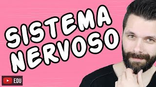 SISTEMA NERVOSO  FISIOLOGIA  Aula  Biologia com Samuel Cunha [upl. by Nollie264]