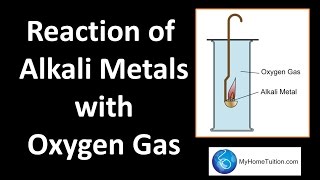 Group 1 Metal  Reaction with Oxygen Gas  Periodic Table [upl. by Springer]