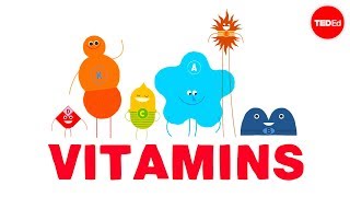 How do vitamins work  Ginnie Trinh Nguyen [upl. by Asiel]