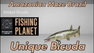 Unique Bicuda  Amazonian Maze Brazil  Fishing Planet Guide [upl. by Mchugh]