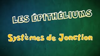 Le Tissu épithélial Épithéliums  Systèmes de Jonction [upl. by Aihppa]