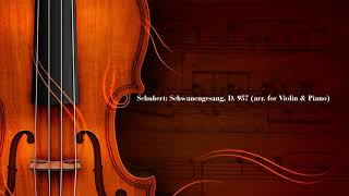 Schubert Schwanengesang D 957 quotSwan Songquot arr for Violin amp Piano [upl. by Ewold]