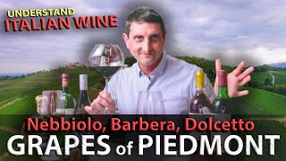 Piedmonts Wine TRILOGY Nebbiolo Barbera Dolcetto  Italian Wine 101 [upl. by Joerg]