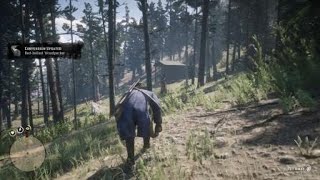 RDR2  Woodpecker location  Tips Description [upl. by Collimore]