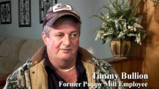 Puppy Mill Insider Speaks Out [upl. by Suzetta]