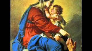 Salve Mater Misericordiae  Catholic Song of Praise to Mary [upl. by Fayette]