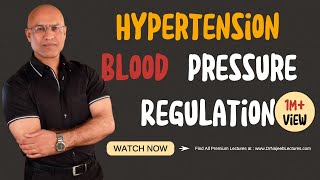 Hypertension  Blood Pressure Regulation  Hypotension [upl. by Enitsirhk87]