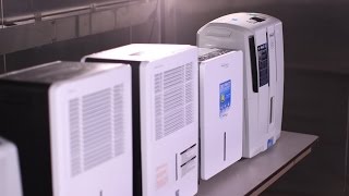 Dehumidifier Buying Guide Interactive Video  Consumer Reports [upl. by Ellevel]