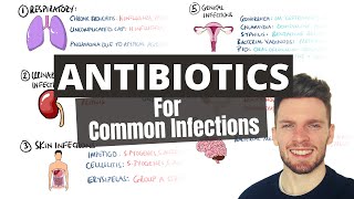 Antibiotic Choices for Common Infections Antibiotics Mnemonic  How to Choose an Antibiotic [upl. by Anihpesoj]