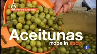 33Fabricando Made in Spain Aceitunas [upl. by Lisk218]