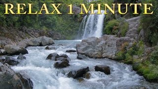 Relax 1 min  Waterfall  Relaxing Nature Sounds [upl. by Kopp]