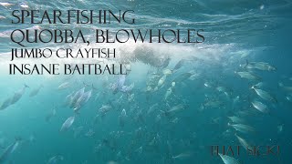 QUOBBA BLOW HOLES SPEARFISHING Western Australia [upl. by Kcirttap]