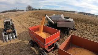 Gleaner Action R62 amp F2  1956 Ford 860  Allis Chalmers 7060  Hilly Beautiful Harvest Chase 2020 [upl. by Minabe]