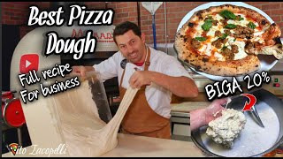 How To Make Best PIZZA DOUGH for Your Business Full RecipeBIGA [upl. by Enaed]