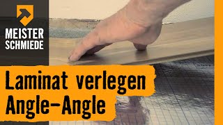 Laminat verlegen AngleAngle  HORNBACH Meisterschmiede [upl. by Ecitnerp]