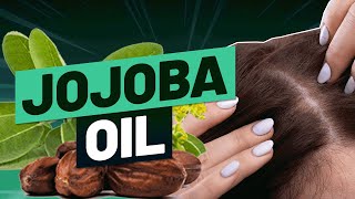 Does Jojoba Oil Improve Hair Growth What The Science Says… [upl. by Llehcim]