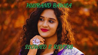 HUSBAND BAWLA  SLOWED amp REVERB  AJAY HOODA  ajayhooda haryanvisong [upl. by Vaughan459]