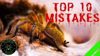 TOP 10 Mistakes Keeping Tarantulas amp Spiders  DONT DO THIS [upl. by Esilahs]