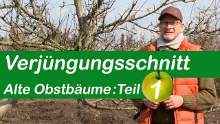 Verjüngungsschnitt  Alte Obstbäume schneiden  Teil 1 [upl. by Rybma]