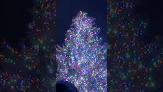 Seton Hall University holds annual Christmas tree lighting  News 12 [upl. by Eiramalegna]