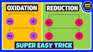 Oxidation and Reduction Reactions [upl. by Airliah]