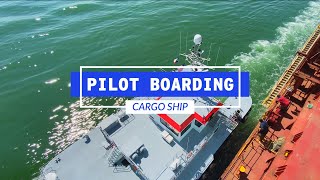 How A Pilot Boards A Cargo Ship  Life At Sea [upl. by Reivazx]