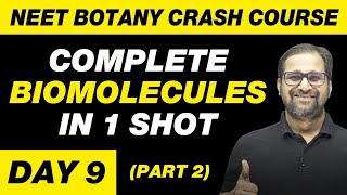 BIOMOLECULES in 1 Shot Part 2  All Theory Tricks amp PYQs Covered  Class 11  NEET [upl. by Aritak]