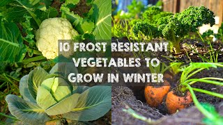 10 Frost Resistant Vegetables to Grow in Winter [upl. by Sidwell]