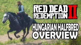 Hungarian Halfbred Overview  Red Dead Redemption 2 Horses [upl. by Anitnahs358]