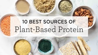 10 BEST PlantBased Protein Sources  a FREE printable [upl. by Basia]