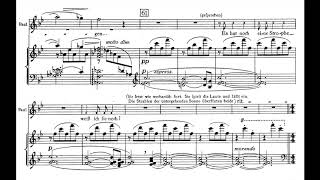 Erich Korngold Mariettas Lied from Die Tote Stadt w Score [upl. by Anead]