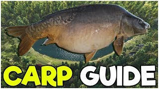 CARP Fishing Guide  Fishing Planet Tips [upl. by Macnair31]