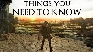 Dark Souls 2 New Mechanics you NEED to know [upl. by Boj343]