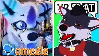 My Last Omegle Video [upl. by Assecnirp383]