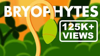 Bryophytes Class 11  Life Cycle of Bryophytes ANIMATION  Plant Kingdom Class 11  NEET [upl. by Klug]