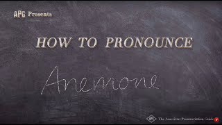 How to Pronounce Anemone [upl. by Claudianus658]