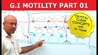 G I Motility  Gastrointestinal  Part 1 [upl. by Aldo]