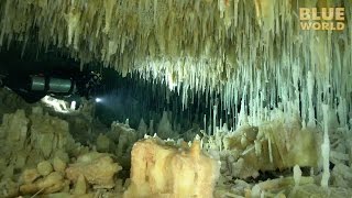 Mysterious Crystal Caves of Abaco  JONATHAN BIRDS BLUE WORLD [upl. by Hafital]