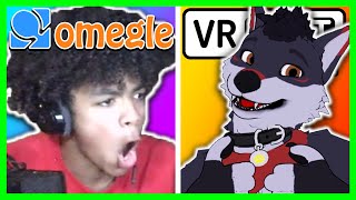 Confronting Furry Haters on Omegle [upl. by Hayarahs20]