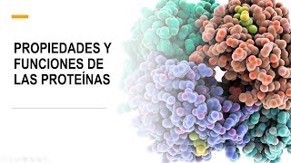 Propiedades y funciones de las proteínas  Bioquímica  Lic en Nutrición [upl. by Eugor]