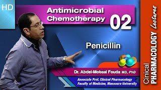 Antimicrobial chemotherapy Ar  02  Penicillin [upl. by Lightman]