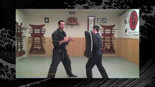 Taijutsu BujinkanNinjutsu Lesson  Ninja Training Video Lesson [upl. by Larisa]