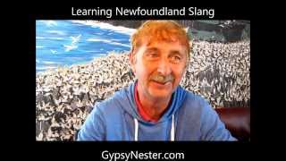 Learning Newfoundland Slang [upl. by Jamil]