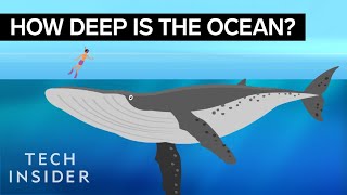 This Incredible Animation Shows How Deep The Ocean Really Is [upl. by Joell]